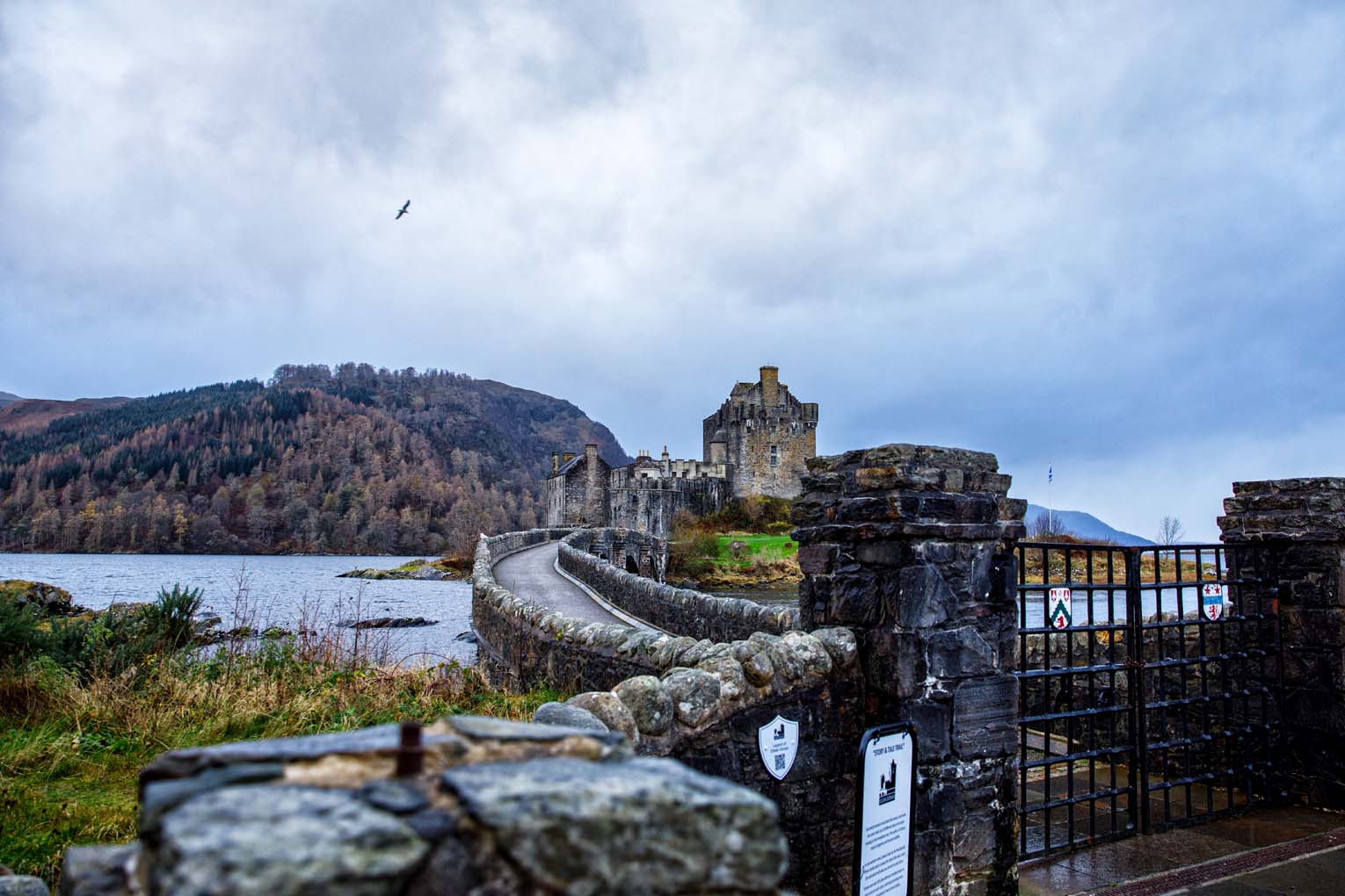 Eilaen donan castle suprise engagement00001