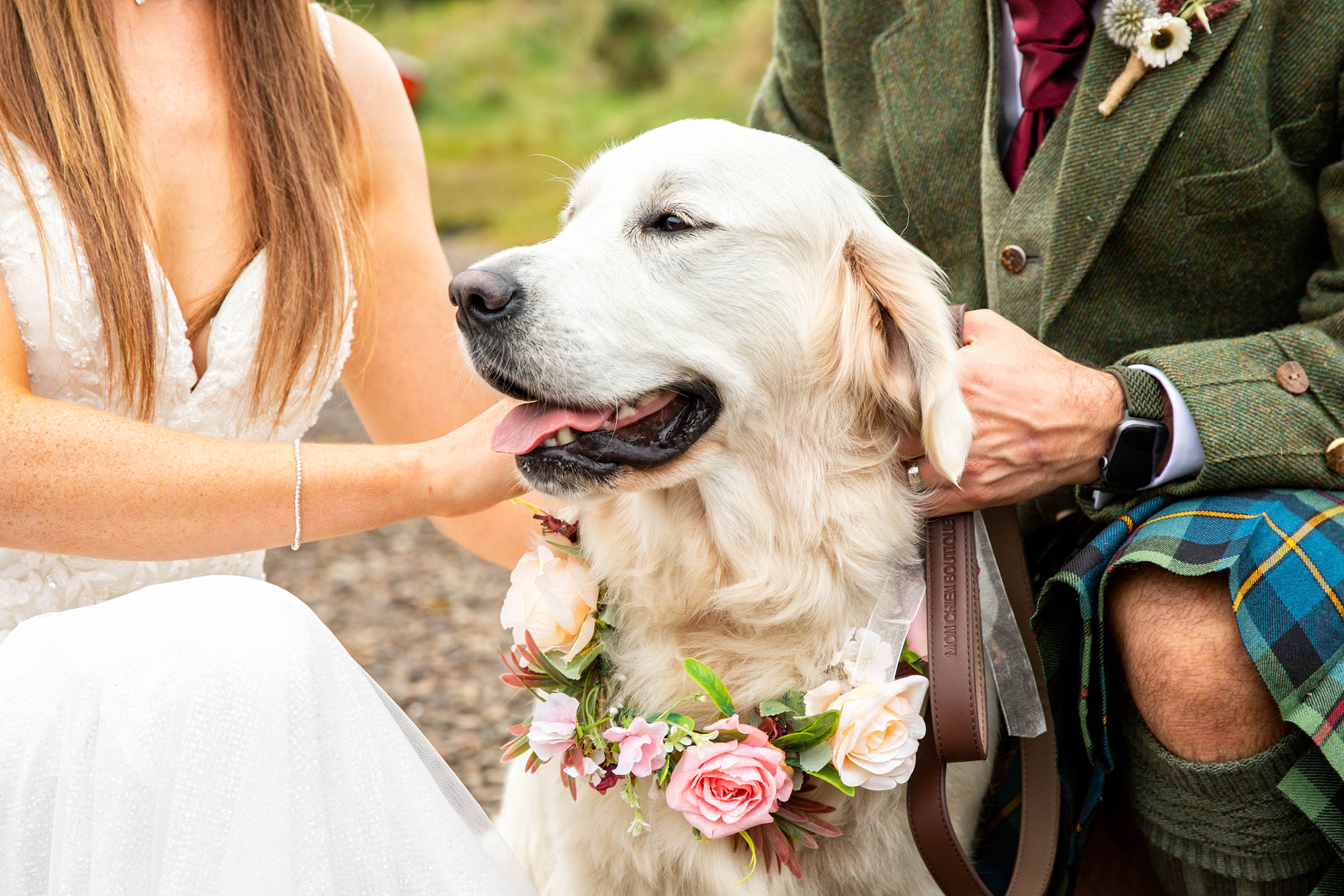 bride and dog with flowers round the neck